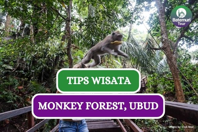 5 Tips Wisata Aman dan Nyaman di Monkey Forest Ubud